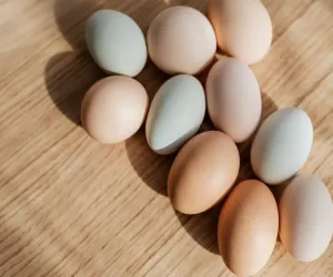 Egg Fast Dieta Ketogeniczna: Opinie i Wyniki Uczestników